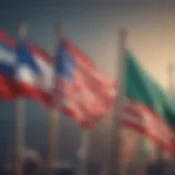 Flags representing various countries for dual citizenship.