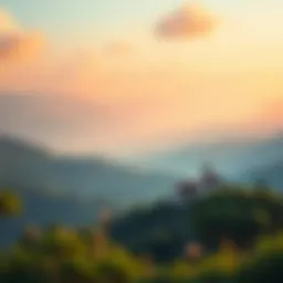 A serene financial landscape representing investment options