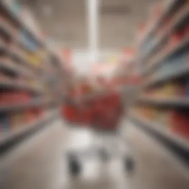 A shopping cart filled with products at Target showcasing a purchase