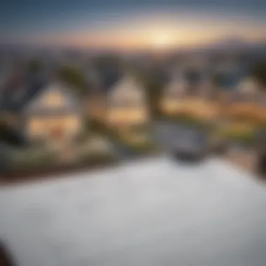 Evaluating Opportunity Costs in Real Estate Conceptual image of opportunity costs in home buying